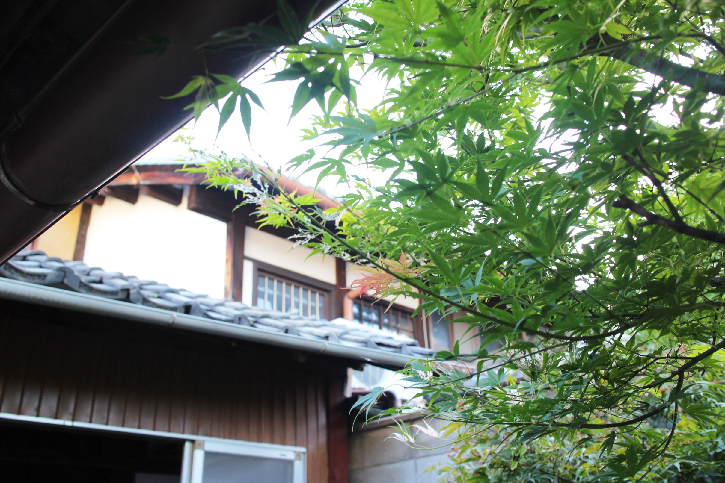 京都の町家ゲストハウスの改装日記